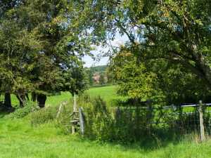 The-Chalfonts-in-summer