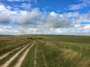 The-South-Downs-Way-in-Summer,-Telscombe