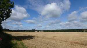 West-Wood,-Coleshill