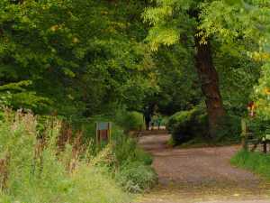 A-morning-walk-with-Grandma