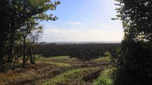 Looking-towards-Princes-Risborough-from-Cuddesden