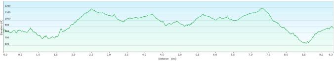 Parracombe walk profile