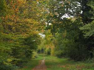 Princes-Risborough-Dismantled-Railway