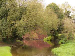 River-Lee,-Wheathampstead