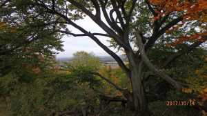 The-Vale-of-Aylesbury