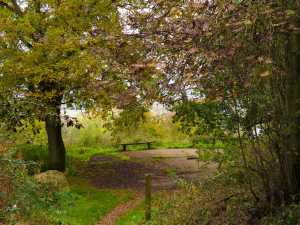 The-View-from-Aston-Rowant