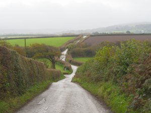 Webber-Hill,-Chichacott