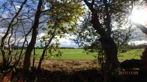 Last-light-of-the-day