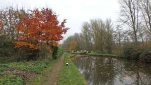 Northchurch-Lock,-Grand-Union-Canal