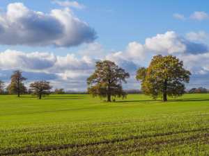 Tollgate-Farm-near-Welham-Green