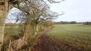 Homefield-Spring,-Bovingdon