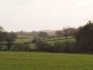 Kingshill-Dell,-Chipperfield