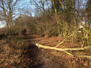 Pudds-Cross,-Bovingdon