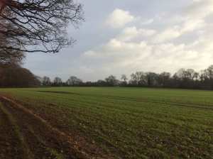 Rainhill-Dell,-Bovingdon