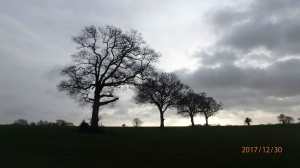 Winter-in-Hertfordshire