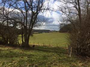 Hoo-Wood-and-the-Gade-Valley