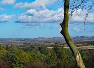 Ivinghoe-Beacon-and-the-Ashridge-Estate-from-Wendover-Woods