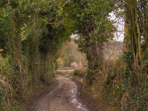 Muddy-lanes,-Lee-Common