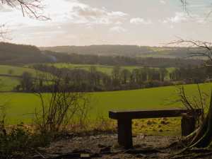 Pause-for-thought,-Wendover-Woods