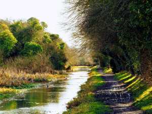 Spring-Colours,-Wendover-Canal