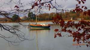 Late afternoon light