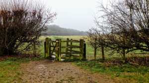 Misty morning walk, Chesham