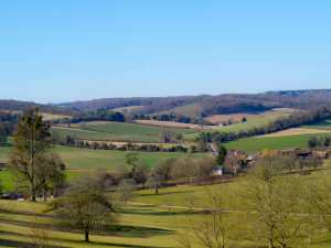 Stonor Park in the Winter Sun