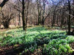 Warburg Nature Reserve