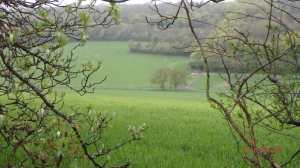 Colliers Lane, Stokenchurch