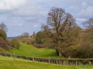 Upper Tump, English Bicknor