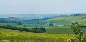 The view from the Downs towards The Thames Valley