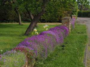 Edlesborough village garden