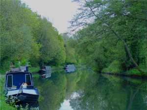 Evening on The Grand Union Canal, Croxley