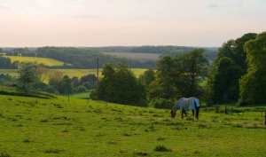 Gade Valley from Gaddesden Place