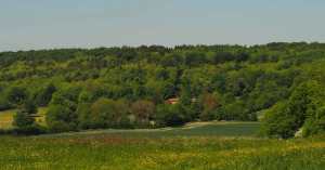 Longdown Farm, Pulpit Wood, Princes Risborough