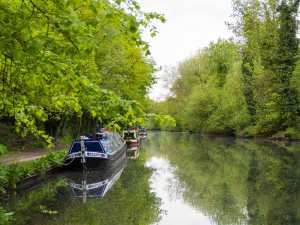 May evening on The Grand Union Canal, Croxley, Hertfordshire
