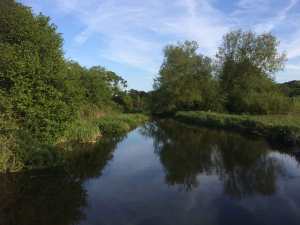 The Chess, Sarratt Bottom