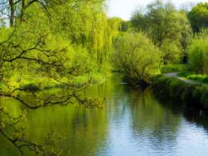 The Gade, Cassiobury Park, Watford