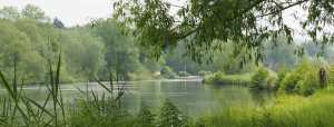 The Thames, Berkshire