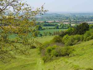 Watlington and The Thames Valley from The Chilterns