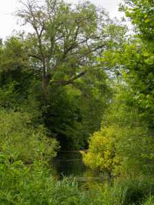 Chalfont Park, Chalfont St Peter