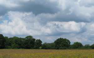 Denner Hill, Great Hampden