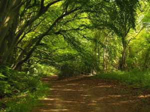 Lilley Hoo, Bedfordshire