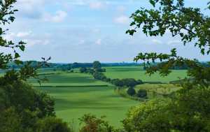 Southern Bedfordshire