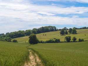 Woodhill Farm, Nettleden Road
