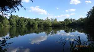Freys Valley Nature Reserve, Uxbridge