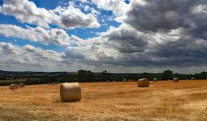 Gravenhurst, looking south towards the North Chilterns