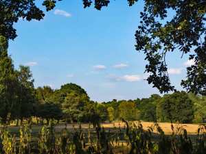 Haste Hill Golf Course