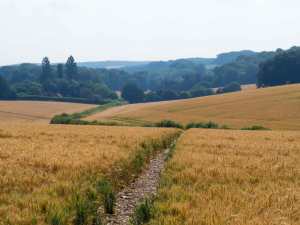 Penn Bottom towards Pennhouse Farm