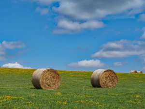 Bales and skies